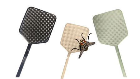 Packa łapka na muchy owady komary 3 sztuki